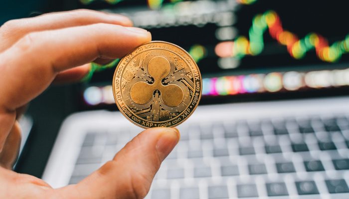 beginner dual investment guide